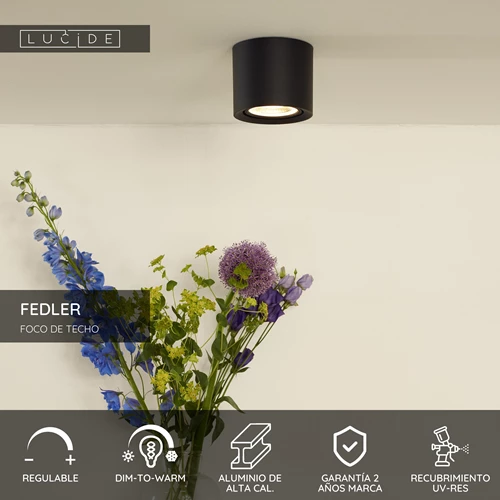 Lucide FEDLER - Foco de techo - Ø 12 cm - LED Dim to warm - GU10 (ES111) - 1x12W 2200K/3000K - Negro - USP